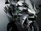 Kawasaki Ninja H2 / ZX 1000